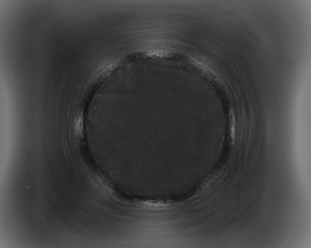 X0000082940502200703020130