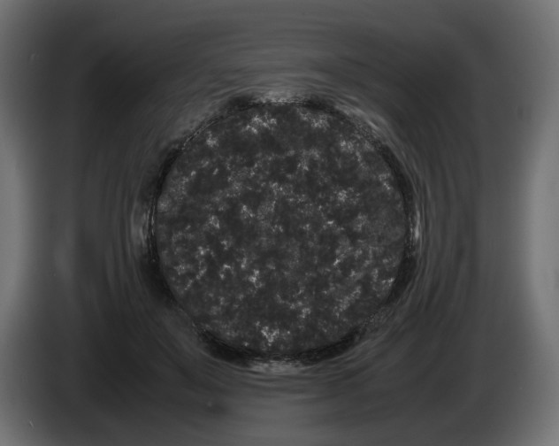 X0000082940503200703020130