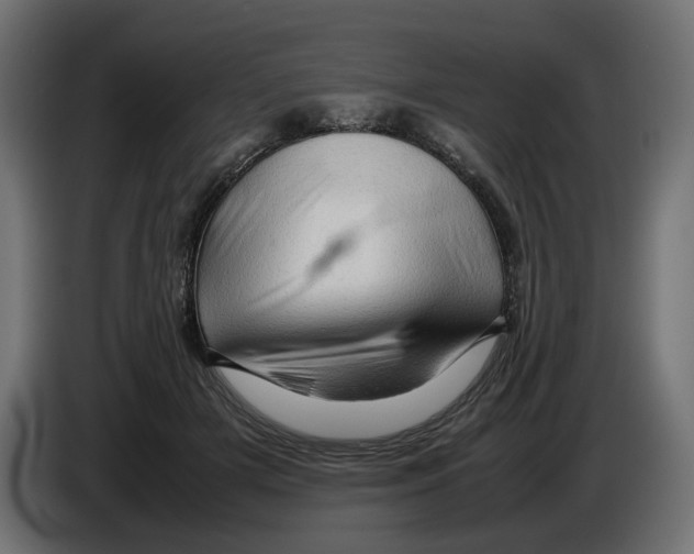 X0000082940505200703020130