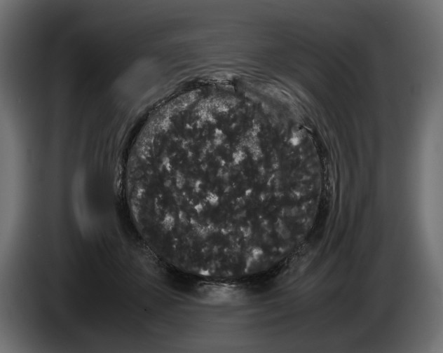 X0000082940507200703020130