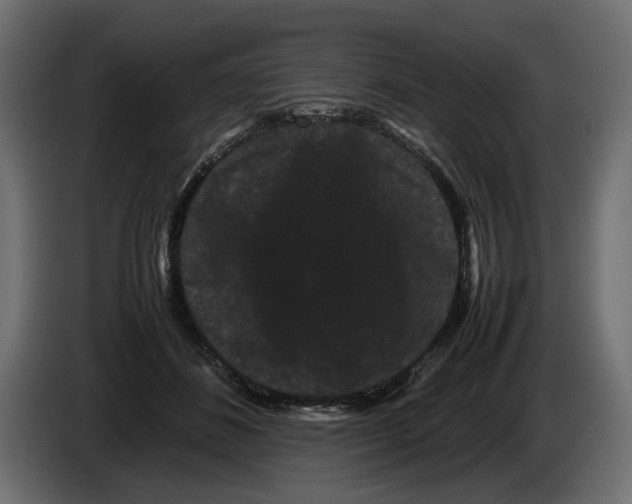 X0000082940508200703020130