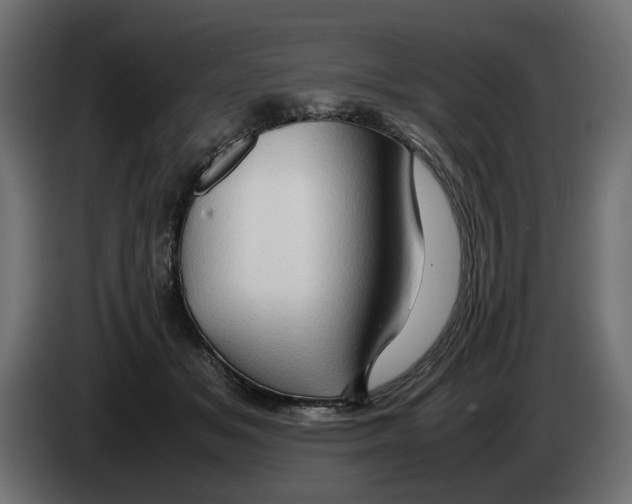 X0000082940509200703020130