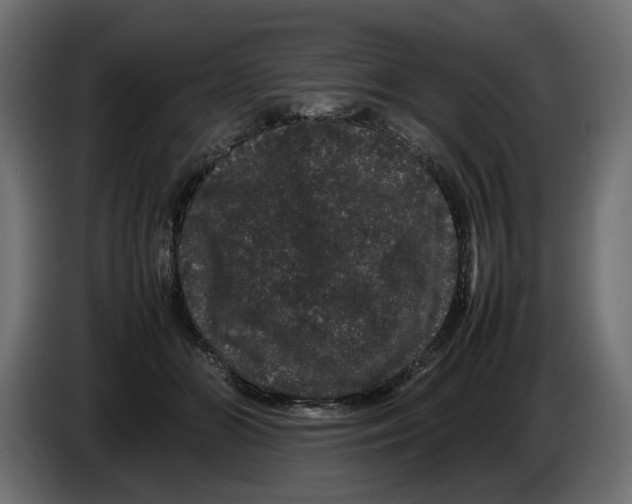 X0000082940510200703020130