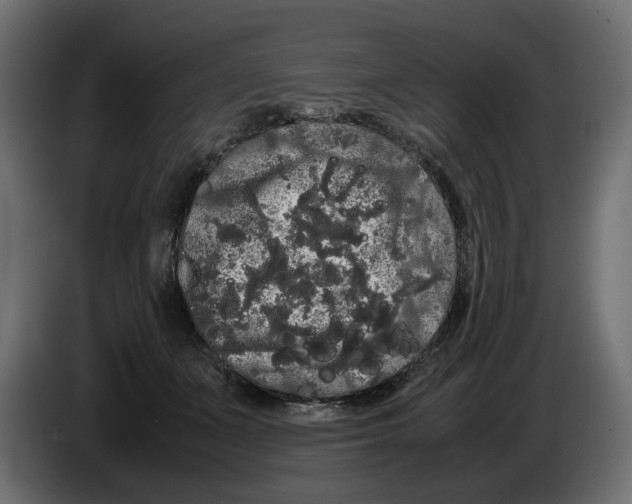 X0000082940511200703020130