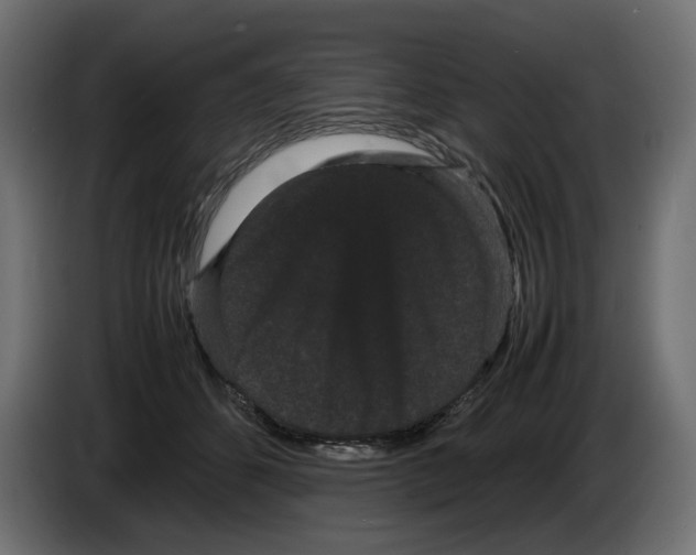 X0000082940512200703020130