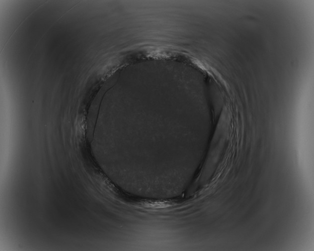 X0000082940513200703020130