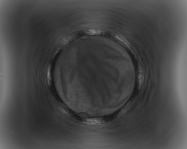 X0000082940516200703020130