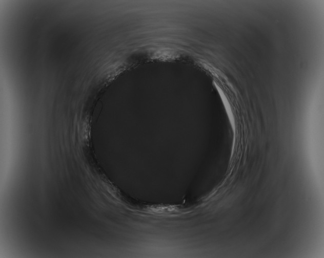 X0000082940517200703020130