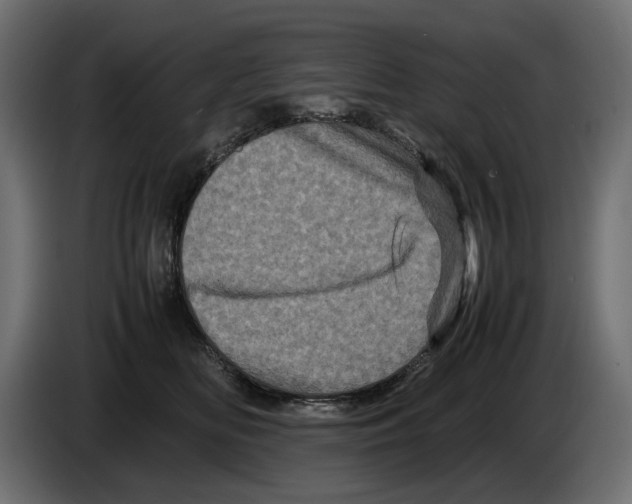 X0000082940518200703020130