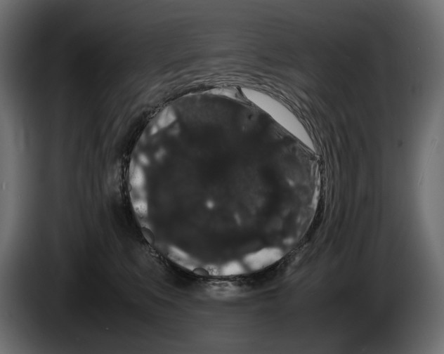 X0000082940519200703020130