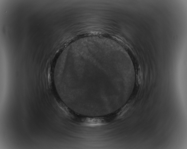 X0000082940520200703020130