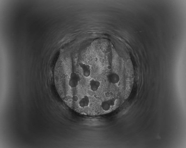 X0000082940523200703020130