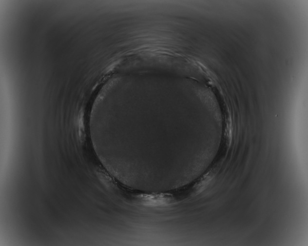 X0000082940524200703020130