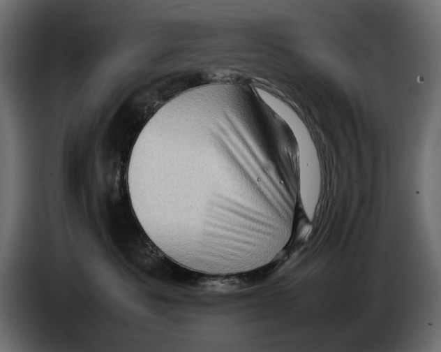 X0000082940525200703020130