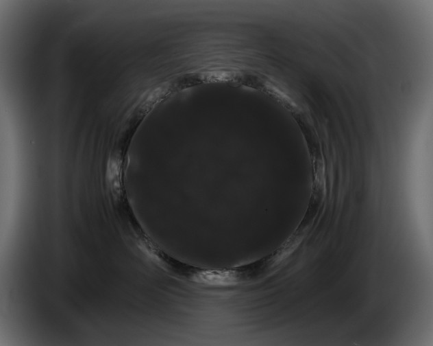 X0000082940526200703020130