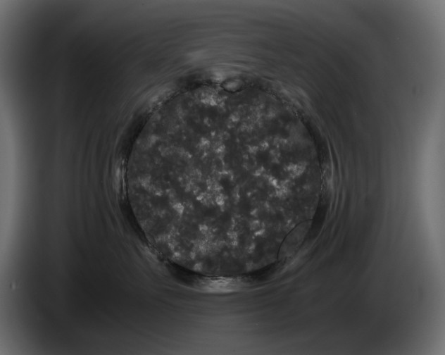 X0000082940527200703020130