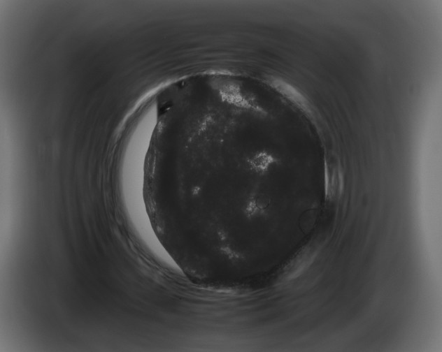 X0000082940531200703020129