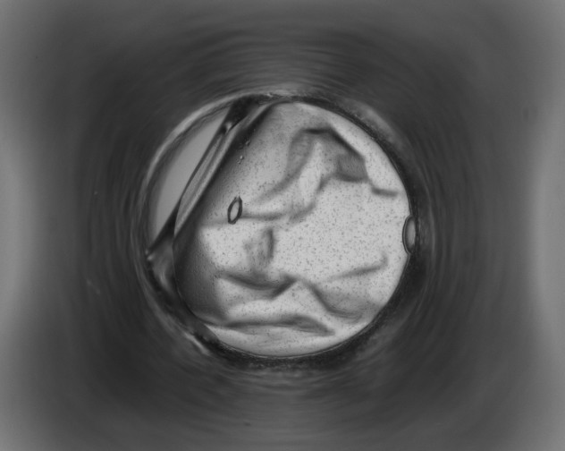 X0000082940532200703020129