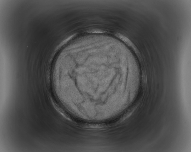 X0000082940533200703020129