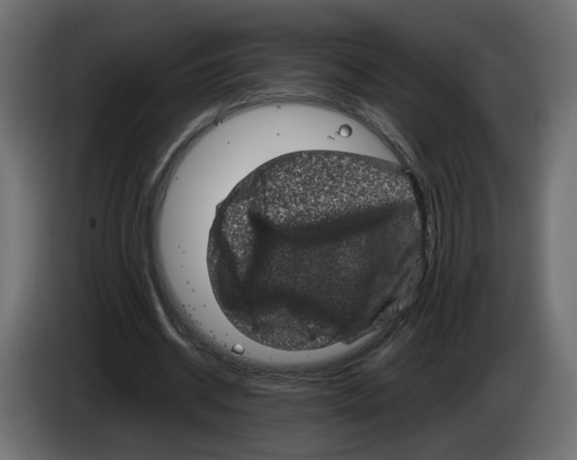 X0000082940534200703020129