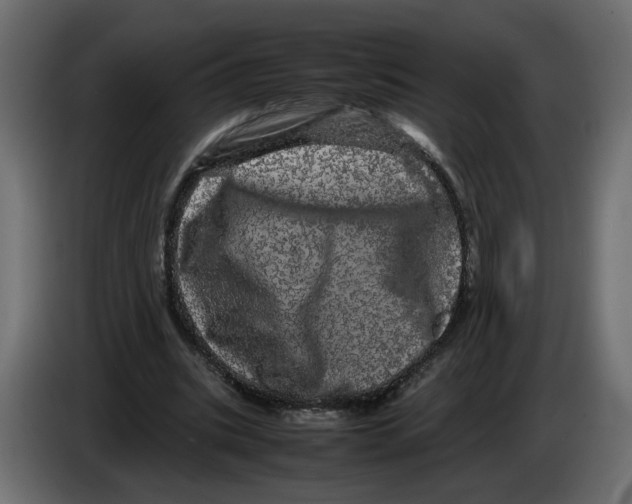 X0000082940535200703020129