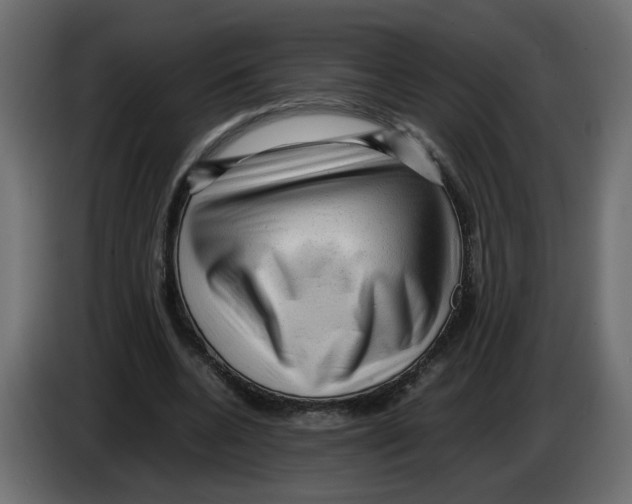 X0000082940536200703020129