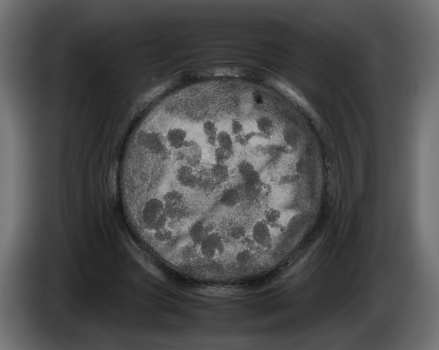 X0000082940537200703020129