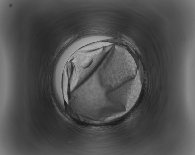 X0000082940538200703020129