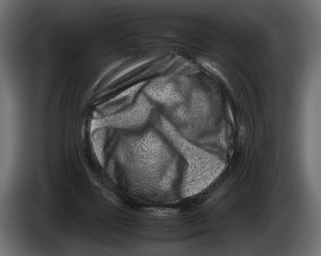 X0000082940539200703020129