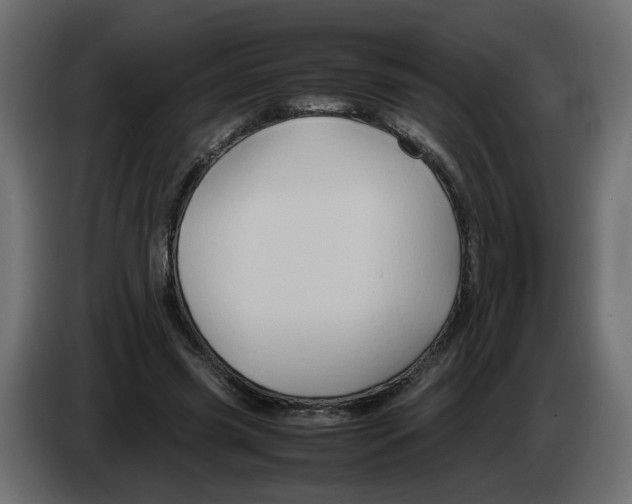 X0000082940541200703020129