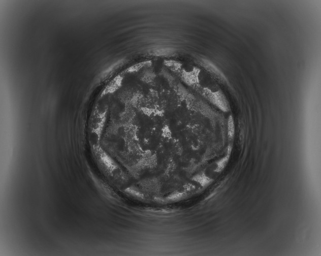 X0000082940542200703020129