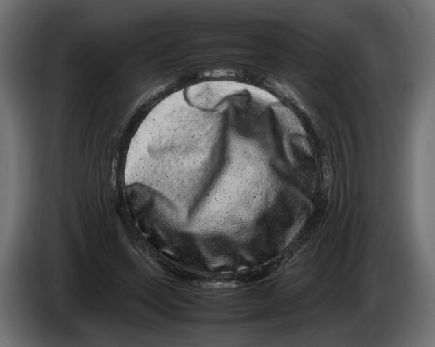 X0000082940543200703020129