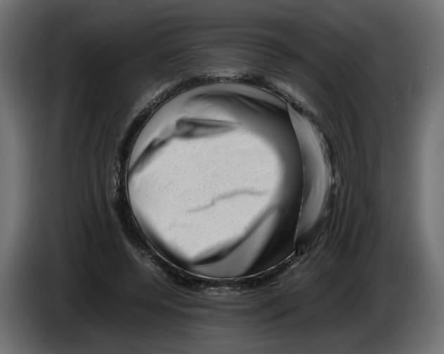 X0000082940544200703020129