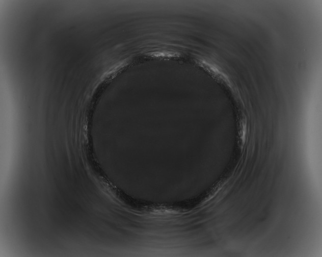 X0000082940547200703020129