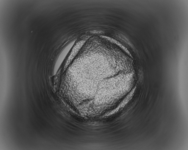 X0000082940549200703020129