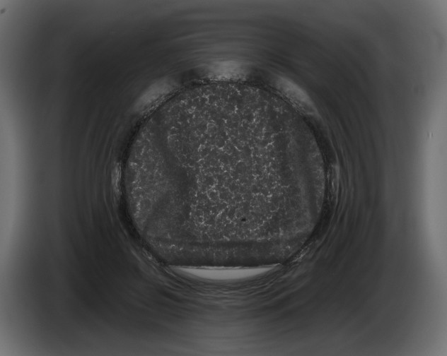 X0000082940550200703020129