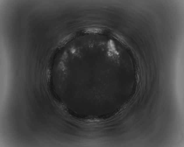 X0000082940551200703020129