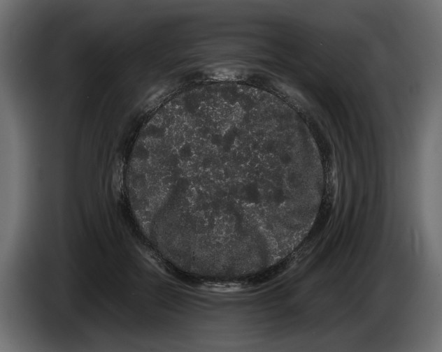 X0000082940554200703020129