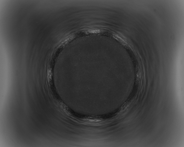 X0000082940555200703020130