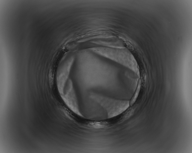 X0000082940558200703020130