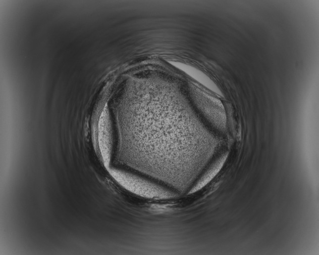 X0000082940560200703020130