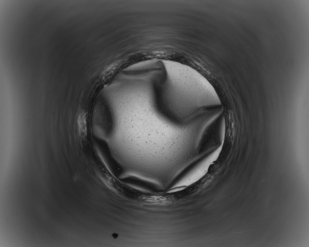 X0000082940562200703020130