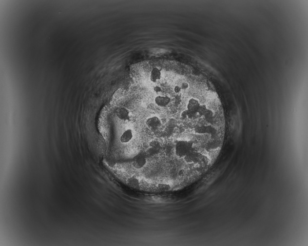 X0000082940565200703020130