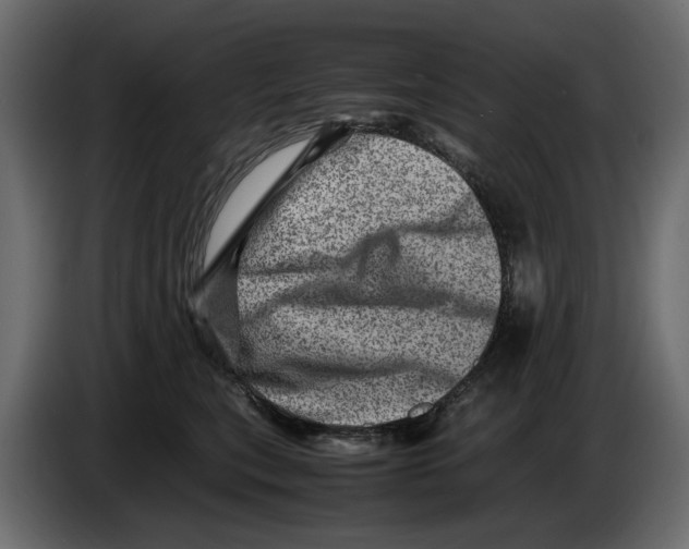 X0000082940567200703020130