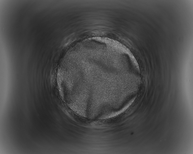 X0000082940568200703020130