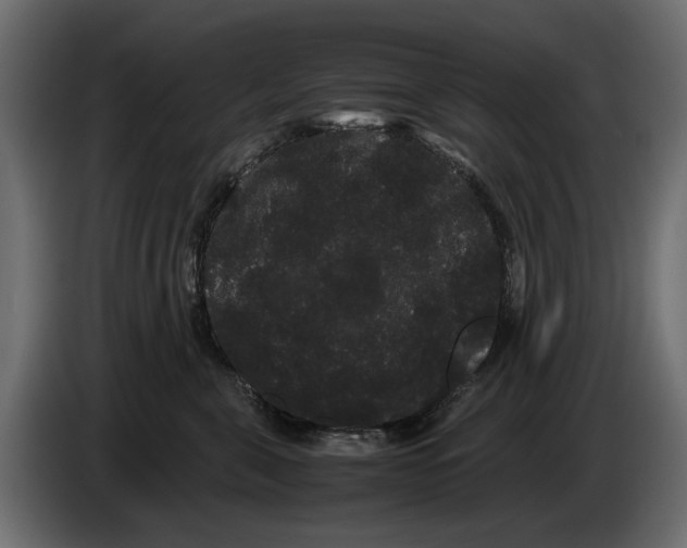 X0000082940571200703020130