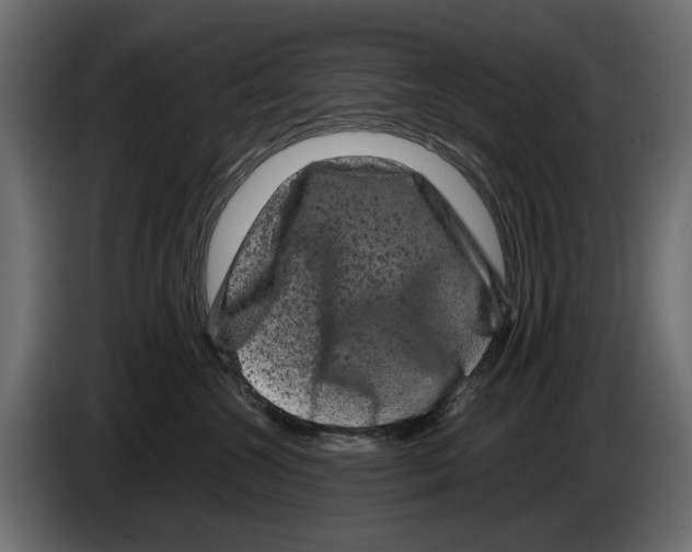 X0000082940572200703020130