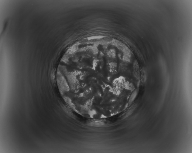 X0000082940573200703020130