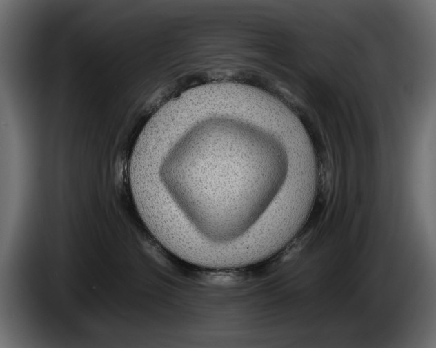 X0000082940574200703020130