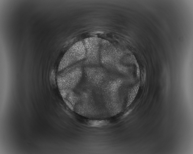 X0000082940575200703020130